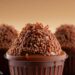 Brigadeiro Gourmet Fit : A Delícia de Chocolate Mais Amada do Brasil e Nao Engorda 12 Brigadeiro Gourmet Fit : A Delícia de Chocolate Mais Amada do Brasil e Nao Engorda